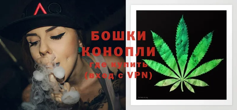 Бошки марихуана OG Kush  закладки  Новая Ляля 